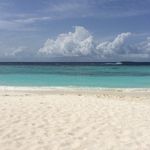 sarah-jane craddock - @sarahjanecraddock - Instagram