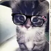 𝓬𝓻𝓪𝓯𝓽𝓮𝓻_𝓬𝓸𝓸𝓴𝓲𝓮 👾 - @zyjane_crafter - TikTok