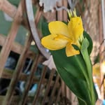 Jane Crain - @j3crain - Instagram