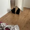 janecrain_ - @janecrain_ - TikTok