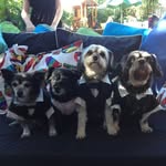 Jane Cranley - @yelnarc63 - Instagram