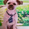 Jane Crawley - @jane.crawley7 - TikTok