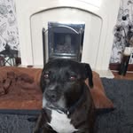 Jane Craven - @craven4690 - Instagram