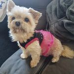 Jane Crawley - @jane140366 - Instagram