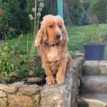 Jane Creeden - @janecreeden - Instagram