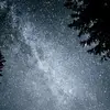 Jan Creelman - @jan.creelman - TikTok