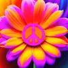 Janet Crews - @janet.crews2 - TikTok