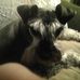 Jane Crider - Facebook