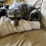 Jane cripe - @jane.cripe_007 - Instagram