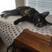 Jane Criswell - Facebook
