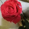 Tiffany-jane Criswell - @tiffanyjane.crisw - TikTok