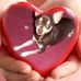 Jane Hudson Crittendon - Facebook