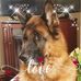 Jane Crotty - Facebook