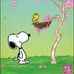 Jane Crouse - Facebook