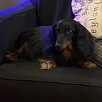 Mary-jane Crouse - @maryjanecrouse - Instagram