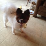 Jane Crow - @rudy_10841 - Instagram