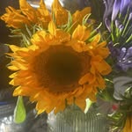 Jane#crow - @jane77crow - Instagram