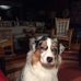 Jane Crowell - Facebook