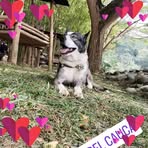 Jane Cuellar - Facebook
