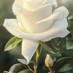 Janet Cuellar - Facebook