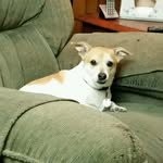 jane - @jane.culberson47 - Instagram