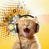 jane - @jane247365 - TikTok