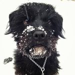 Jane Culley Price - @jap0702 - Instagram