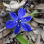 Jane Curnow - @jan.e.c - Instagram