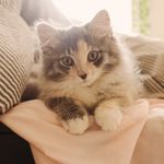 Eleven Jane Cutler - @ellie_jane_cutler - Instagram