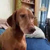 Jane Cutler Guter - @jane.cutler.guter - TikTok