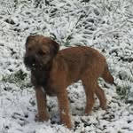 Jane Cutts - @jane_cutts - Instagram