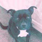 Jane Cutts - Facebook