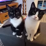 Jane Cutts - @jane.cutts.92 - Instagram