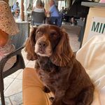 Jane Dalzell - @jane.dalzell.54 - Instagram