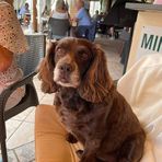 Jane Dalzell - Facebook