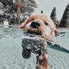 JANE DAMELIO - @mrs.janedamelio - TikTok