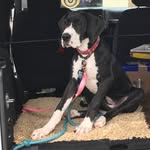 Jane Dane Jeeper - @jeepingdanejane - Instagram