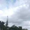 Jane Daño - @jane.dao8 - TikTok