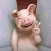 jane - @janeedano - TikTok