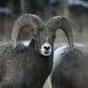 Jane Kloberdanz - @janekloberdanz5 - TikTok