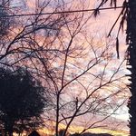 Laura Jane Daugherty - @laurajanedaugherty - Instagram