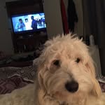 jane blyth - @janedawn16 - Instagram