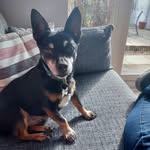 Jane Deacon - @jane.deacon.737 - Instagram