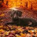 Jane Deacon - Facebook
