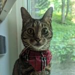 Jane Dean - @janeydean - Instagram