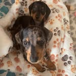 Jane Deans Savage - @deansy2260 - Instagram