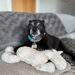 Jane De Boer Carpenter - @janedeboerc - Instagram