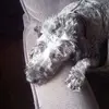 Mary Jane DeCamp - @mary.jane.decamp - TikTok