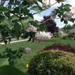 Jane Dickey-Morrell - @dickeymorrell - Instagram