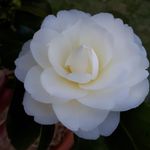 Jane Doan - @ltd1734 - Instagram